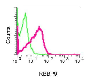 Flow Cytometry (Intracellular) - Anti-BOG antibody [EPR9905] - BSA and Azide free (AB249307)