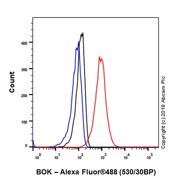 Flow Cytometry (Intracellular) - Anti-Bok antibody [BOK-R1-5-1] - BSA and Azide free (AB233700)