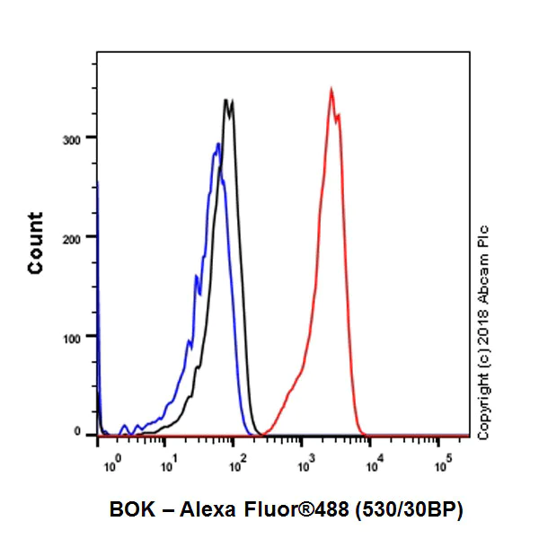 Flow Cytometry (Intracellular) - Anti-Bok antibody [BOK-R1-5-1] - BSA and Azide free (AB233700)