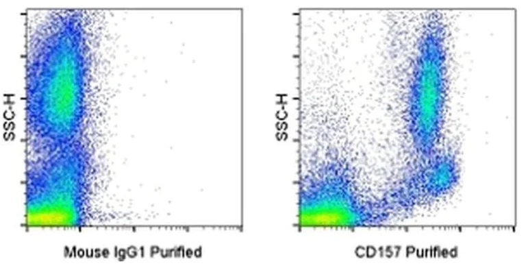 Flow Cytometry - Anti-Bone marrow stromal cell antigen 1 antibody [SY11B5] (AB92395)