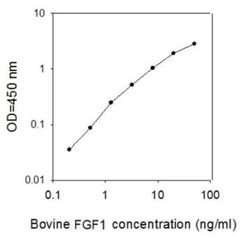 Sandwich ELISA - Bovine FGF1 ELISA Kit (AB273195)