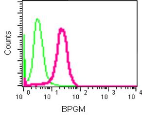 Flow Cytometry (Intracellular) - Anti-BPGM antibody [EPR15128] - BSA and Azide free (AB250893), expandable thumbnail