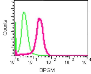 Flow Cytometry (Intracellular) - Anti-BPGM antibody [EPR15128] - BSA and Azide free (AB250893)