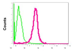Flow Cytometry (Intracellular) - Anti-BPI antibody [EPR12350(B)] - BSA and Azide free (AB249881)