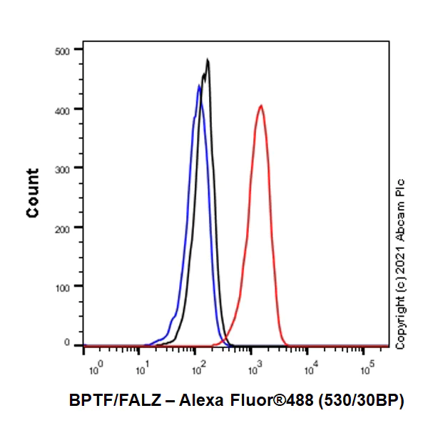 Flow Cytometry (Intracellular) - Anti-BPTF / FALZ antibody [EPR25422-35] - BSA and Azide free (AB288166)