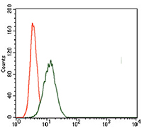 Flow Cytometry - Anti-Brachyury / Bry antibody [1H9A2] (AB140661)