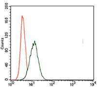 Flow Cytometry - Anti-Brachyury / Bry antibody [1H9A2] (AB140661)