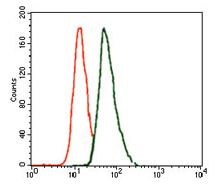 Flow Cytometry - Anti-Brachyury / Bry antibody [6C12] (AB135254)