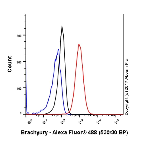 Flow Cytometry (Intracellular) - Anti-Brachyury / Bry antibody [EPR18113] (AB209665)