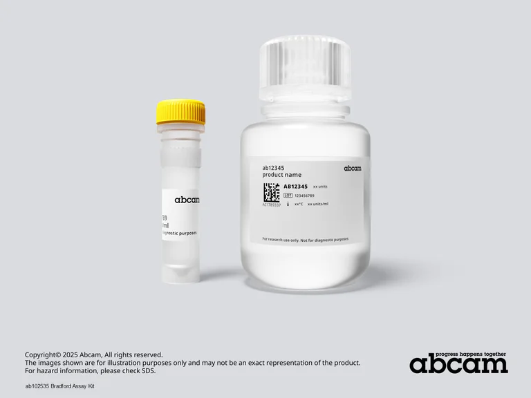 Schematic Diagram - Bradford Assay Kit (AB102535)