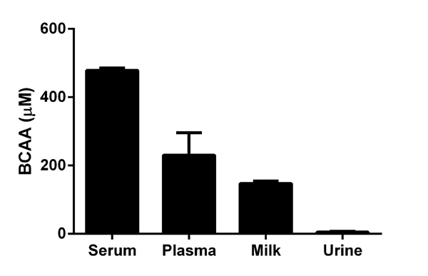 Functional Studies - Branched Chain Amino Acid Assay Kit / BCAA Assay Kit (AB83374)