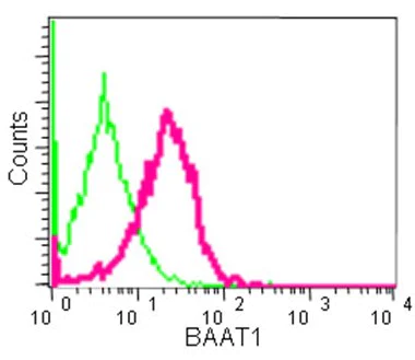 Flow Cytometry (Intracellular) - Anti-BRAT1 antibody [EPR13753] - BSA and Azide free (AB250526)