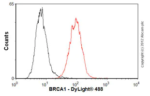 Flow Cytometry (Intracellular) - Anti-BRCA1 antibody [MS110] (AB16780)