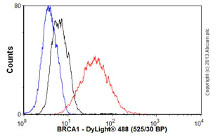 Flow Cytometry (Intracellular) - Anti-BRCA1 antibody [MS13] (AB16781)