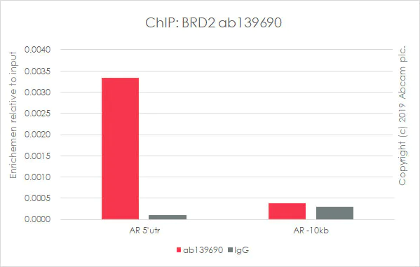 ChIP - Anti-BRD2 antibody [EPR7642] - BSA and Azide free (AB222393)