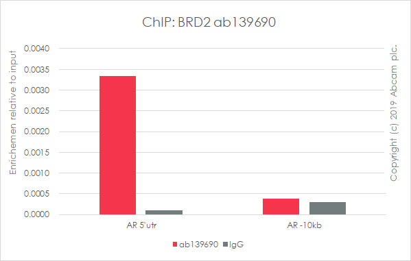 ChIP - Anti-BRD2 antibody [EPR7642] - ChIP Grade (ab139690), expandable thumbnail