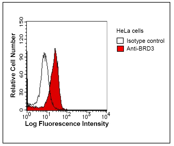 Flow Cytometry - Anti-BRD3 antibody [2088C3a] (AB50818), expandable thumbnail