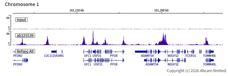 ChIP-sequencing - Anti-BRD3 antibody [EPR30249-10] (AB325539)