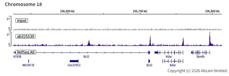ChIP-sequencing - Anti-BRD3 antibody [EPR30249-10] (AB325539)