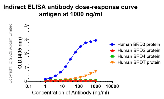 Indirect ELISA - Anti-BRD3 antibody [EPR30249-10] (AB325539)