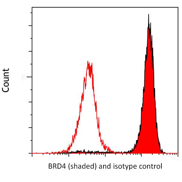 Flow Cytometry - Anti-Brd4 antibody [BL-149-2H5] (AB243862), expandable thumbnail