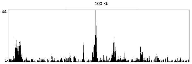 ChIP-sequencing - Anti-Brd4 antibody [BL-149-2H5] - BSA free (AB272042), expandable thumbnail
