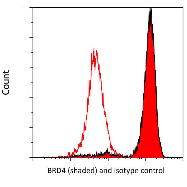 Flow Cytometry - Anti-BRD4 antibody [BL-151-6F11] - BSA free (AB314054), expandable thumbnail