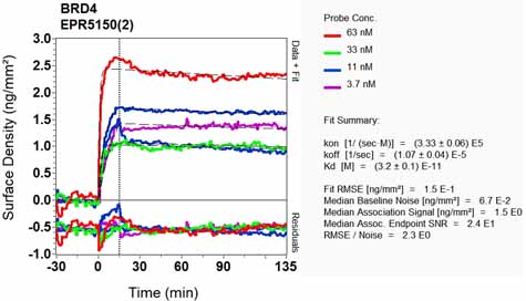 OI-RD Scanning - Anti-Brd4 antibody [EPR5150(2)] (ab128874), expandable thumbnail