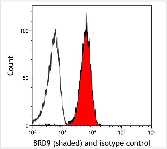 Flow Cytometry - Anti-BRD9 antibody [BLR153J] - BSA free (AB314091)