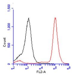 Flow Cytometry - Anti-BrdU antibody (AB152095), expandable thumbnail