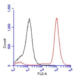 Flow Cytometry - Anti-BrdU antibody (AB152095)