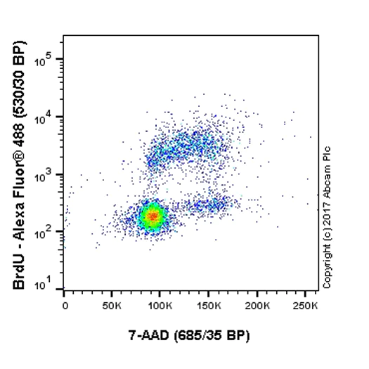 Flow Cytometry (Intracellular) - Anti-BrdU antibody [BU1/75 (ICR1)] - BSA and Azide free (AB264079)