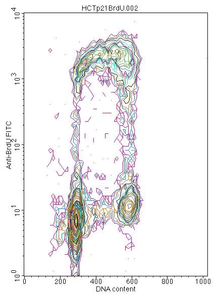 Flow Cytometry - Anti-BrdU antibody [IIB5] (AB8152)