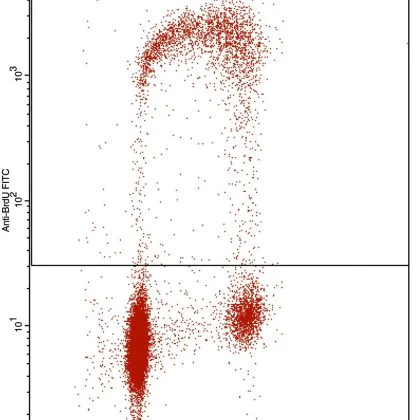 Flow Cytometry - Anti-BrdU antibody [IIB5] (AB8955)