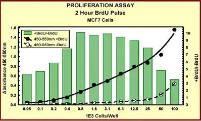 Indirect ELISA - BrdU Cell Proliferation ELISA Kit (colorimetric) (AB126556)