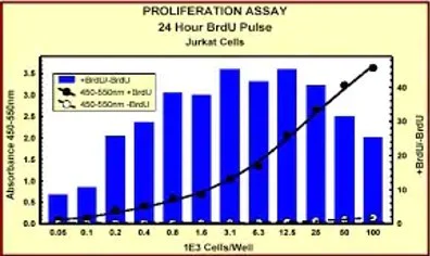 Indirect ELISA - BrdU Cell Proliferation ELISA Kit (colorimetric) (AB126556)