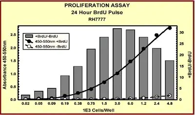 Indirect ELISA - BrdU Cell Proliferation ELISA Kit (colorimetric) (AB126556)