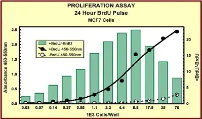 Indirect ELISA - BrdU Cell Proliferation ELISA Kit (colorimetric) (AB126556)