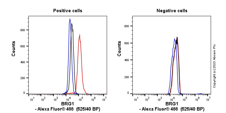 Flow Cytometry (Intracellular) - Anti-BRG1 antibody [EPNCIR111A] (ab110641), expandable thumbnail