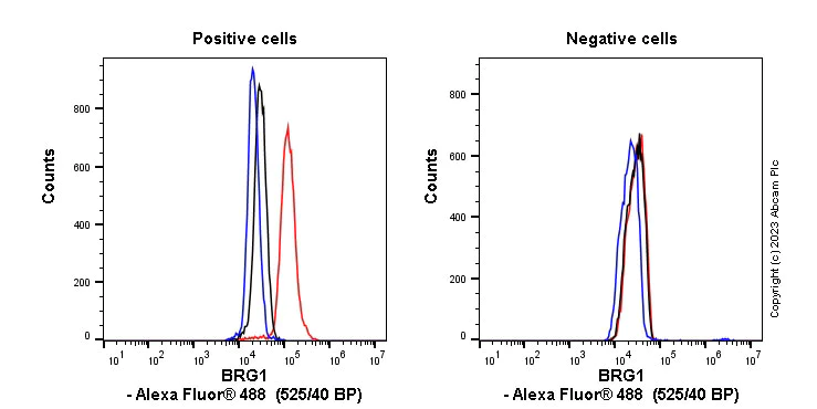 Flow Cytometry (Intracellular) - Anti-BRG1 antibody [EPNCIR111A] (AB110641)