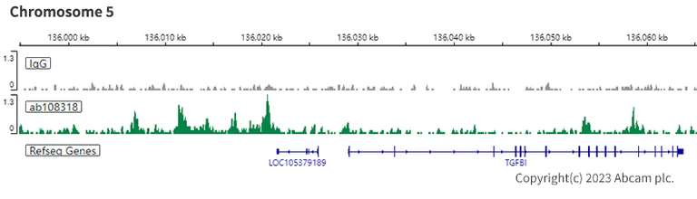 ChIC/CUT&RUN sequencing - Anti-BRG1 antibody [EPR3912] (AB108318)