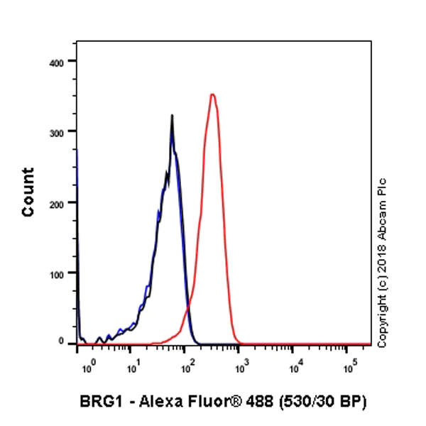 Flow Cytometry (Intracellular) - Anti-BRG1 antibody [EPR3912] (AB108318)