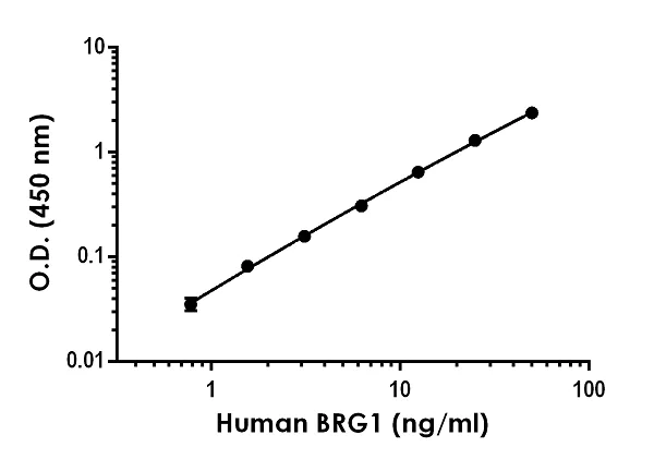 Sandwich ELISA - Anti-BRG1 antibody [EPR3912] - BSA and Azide free (Capture) (AB274671)
