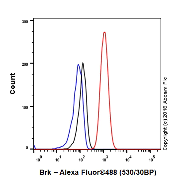 Flow Cytometry (Intracellular) - Anti-Brk/PTK6 antibody [EPR21051-68] - BSA and Azide free (AB234100)