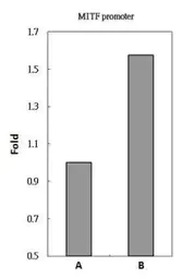 ChIP - Anti-Brn-2 antibody (AB137469)