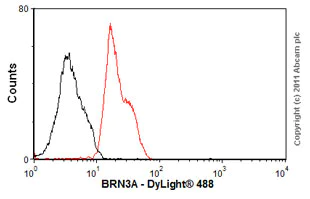 Flow Cytometry (Intracellular) - Anti-BRN3A antibody [EP1972Y] - BSA and Azide free (AB232480)
