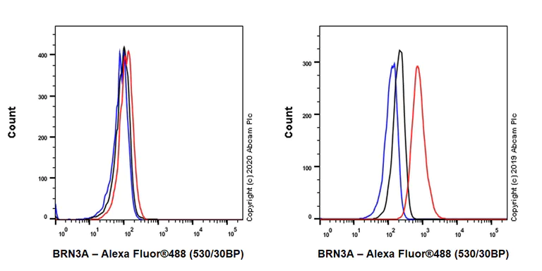 Flow Cytometry (Intracellular) - Anti-BRN3A antibody [EPR23257-285] - BSA and Azide free (AB273099)