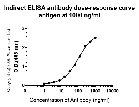 Indirect ELISA - Anti-BRN3B / POU4F2 antibody [EPR28922-88] (AB325130)