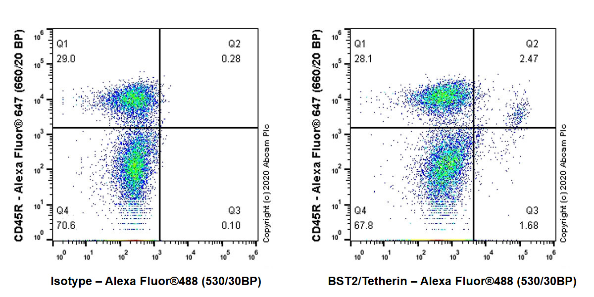 Flow Cytometry - Anti-BST2/Tetherin antibody [EPR23597-202] (AB246508), expandable thumbnail