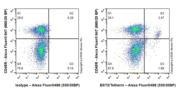 Flow Cytometry - Anti-BST2/Tetherin antibody [EPR23597-202] - BSA and Azide free (AB272175)